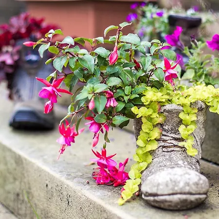 Kirkby Stephen Hostel 호스텔 *